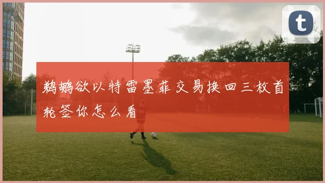 鹈鹕欲以特雷墨菲交易换回三枚首轮签你怎么看