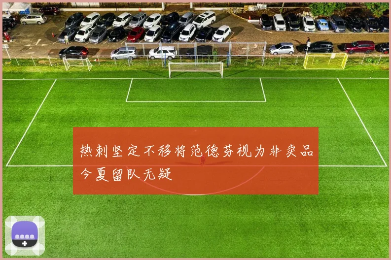 热刺坚定不移将范德芬视为非卖品今夏留队无疑