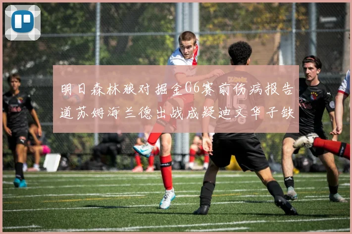 明日森林狼对掘金G6赛前伤病报告道苏姆海兰德出战成疑迪文华子缺阵